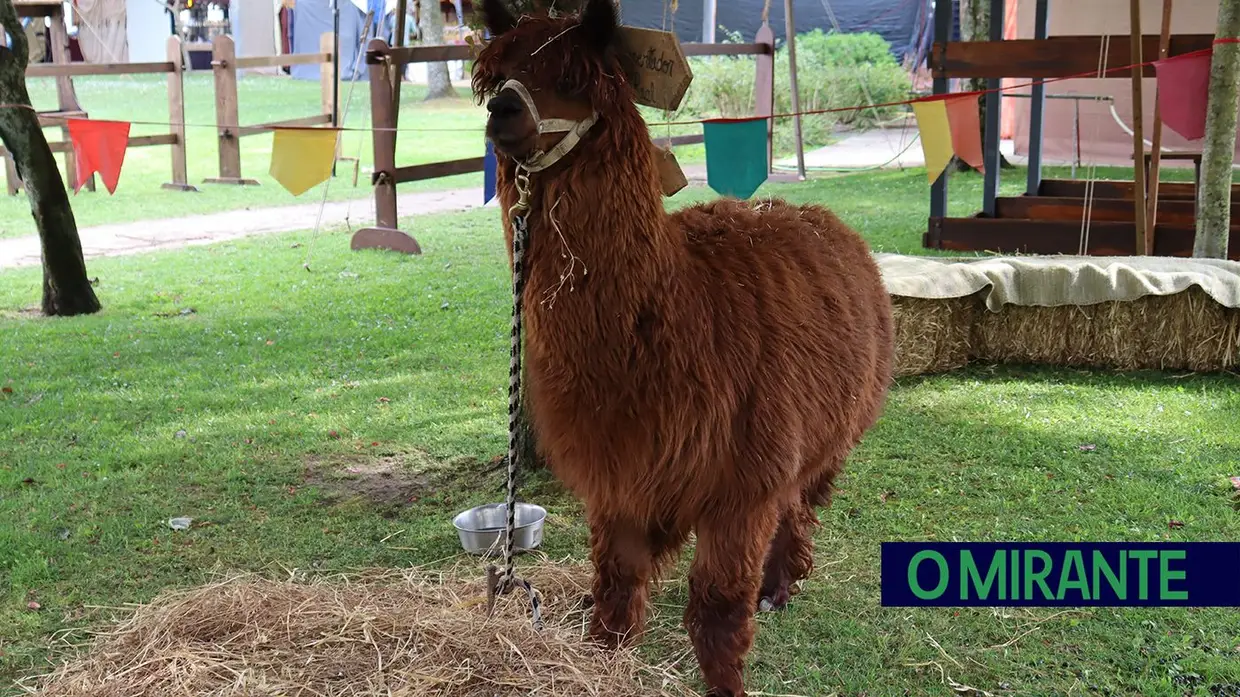 Cortes e Lendas inauguradas em Santarém dedicadas ao legado árabe e reconquista cristã