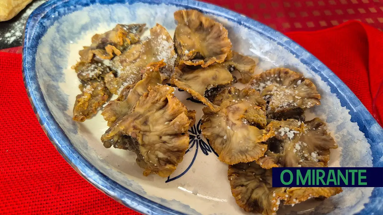 Praça de Toiros de Coruche recebe mais uma edição dos Sabores do Toiro Bravo