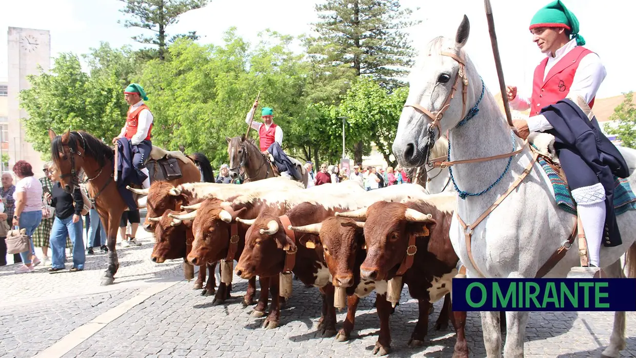 Desfile de campinos e ranchos folclóricos pelas ruas do Cartaxo