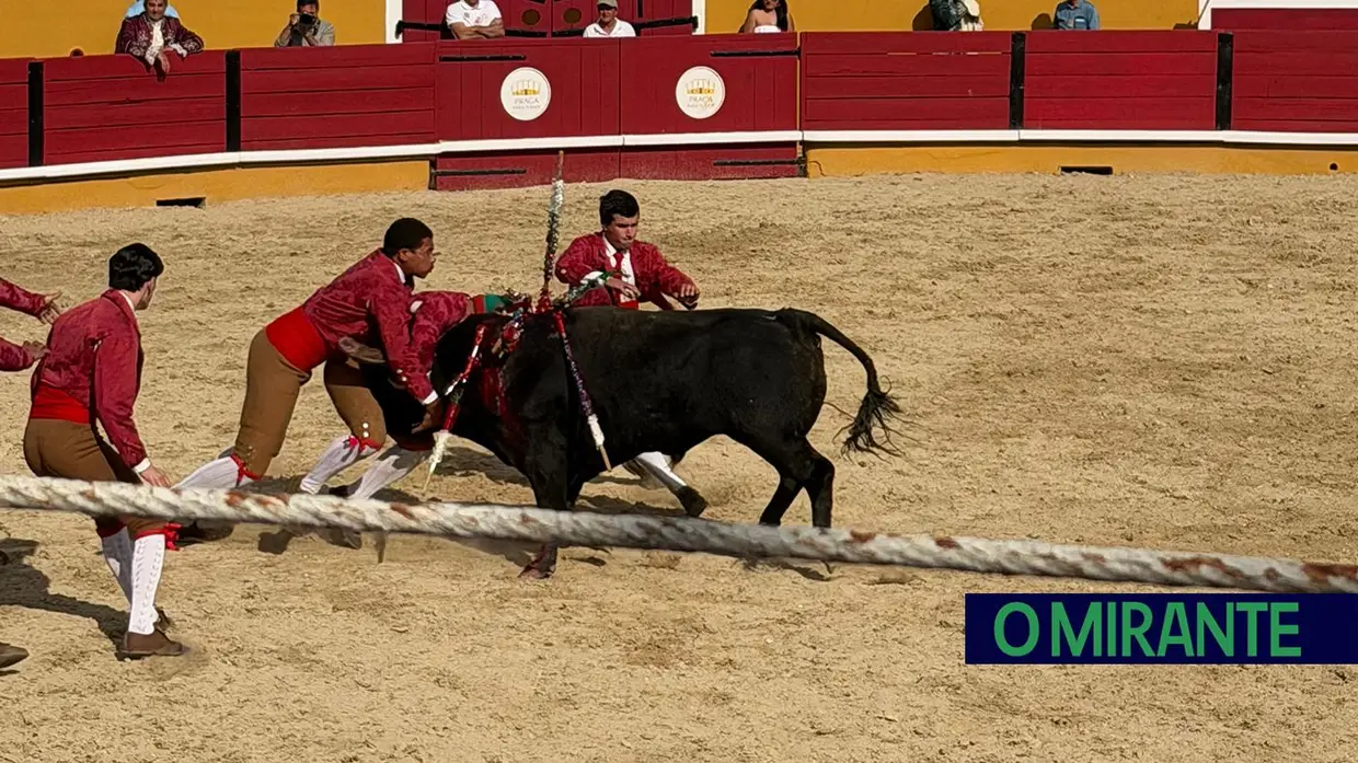 Corrida de toiro encheu praça do Cartaxo