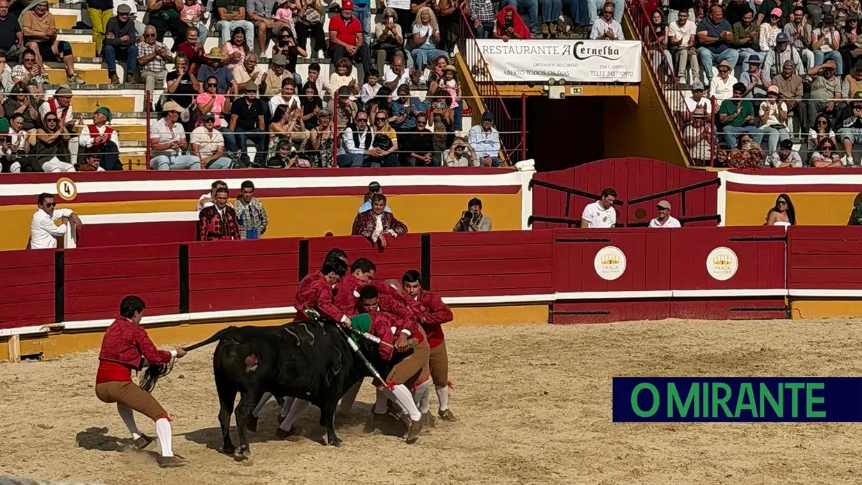 Corrida de toiro encheu praça do Cartaxo