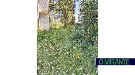 Selva urbana