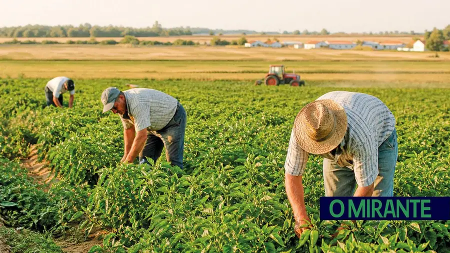 Santarém entre os distritos na linha da frente dos apoios do Governo à agricultura