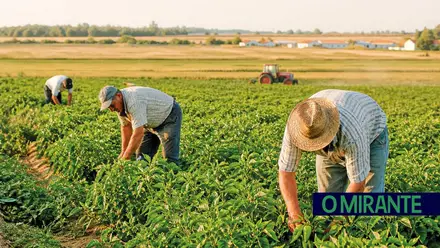 Santarém entre os distritos na linha da frente dos apoios do Governo à agricultura
