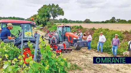 Agrichamusca assinala primeiro ano de nova gerência com crescimento e reforço de marcas