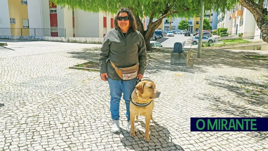 Cães-guia devolvem liberdade mas continuam fora do alcance de muitos cegos