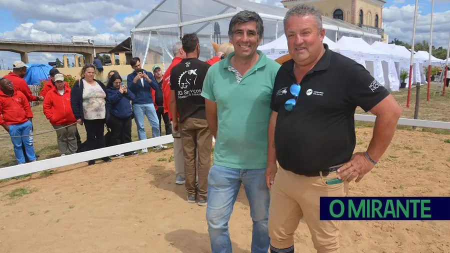 Vila Franca de Xira celebra e valoriza tradição do cavalo este fim-de-semana