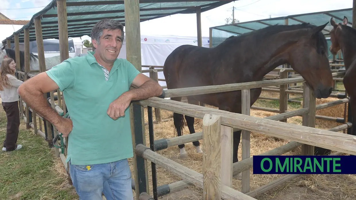 Xira Equestre voltou a colocar a tradição do cavalo em VFX no seu devido lugar