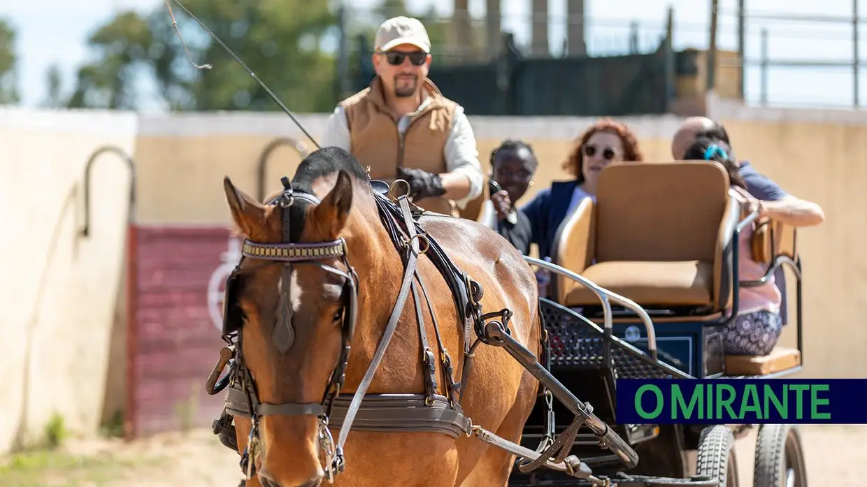 Xira Equestre voltou a colocar a tradição do cavalo em VFX no seu devido lugar