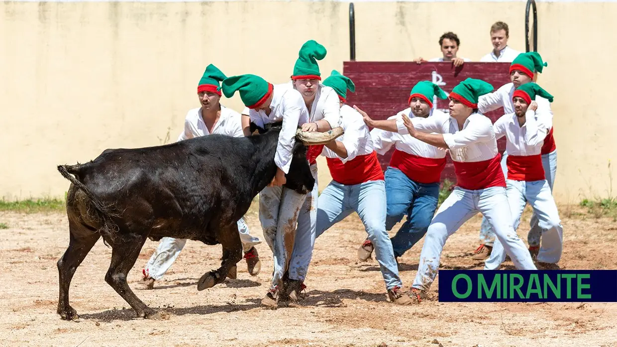 Xira Equestre voltou a colocar a tradição do cavalo em VFX no seu devido lugar