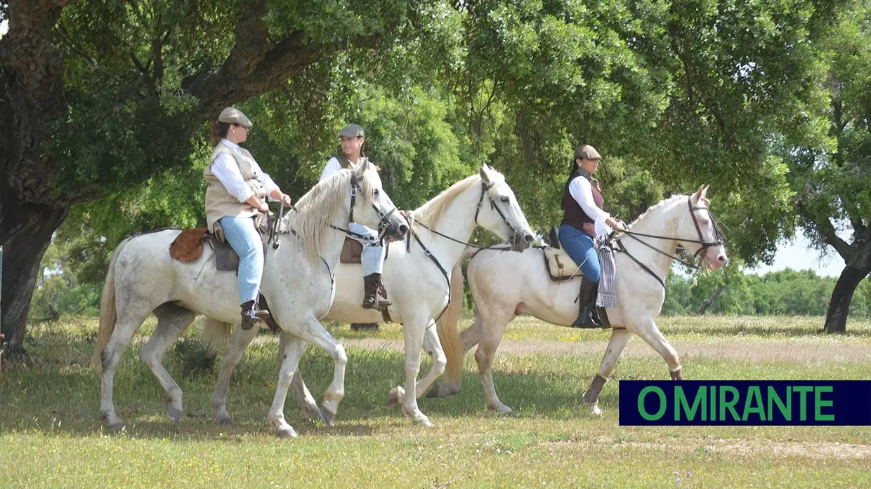 Quinta-feira da Espiga vivida em Samora Correia entre cavalos, campo e tradição