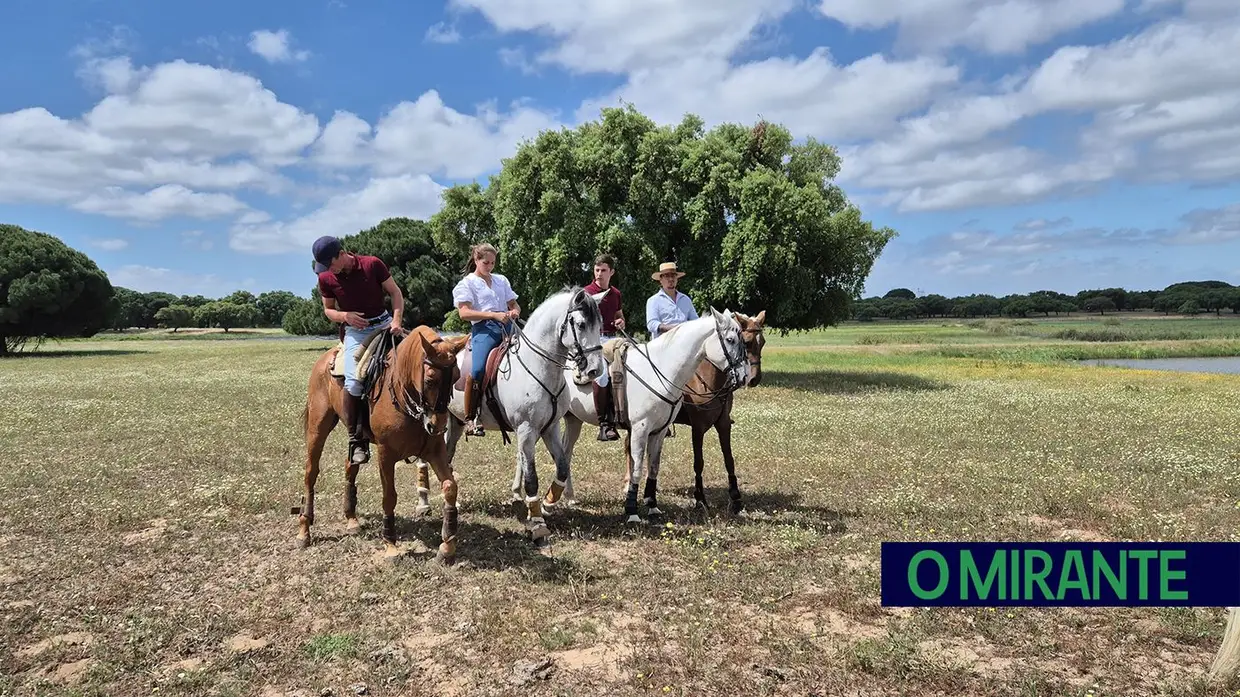 Quinta-feira da Espiga vivida em Samora Correia entre cavalos, campo e tradição