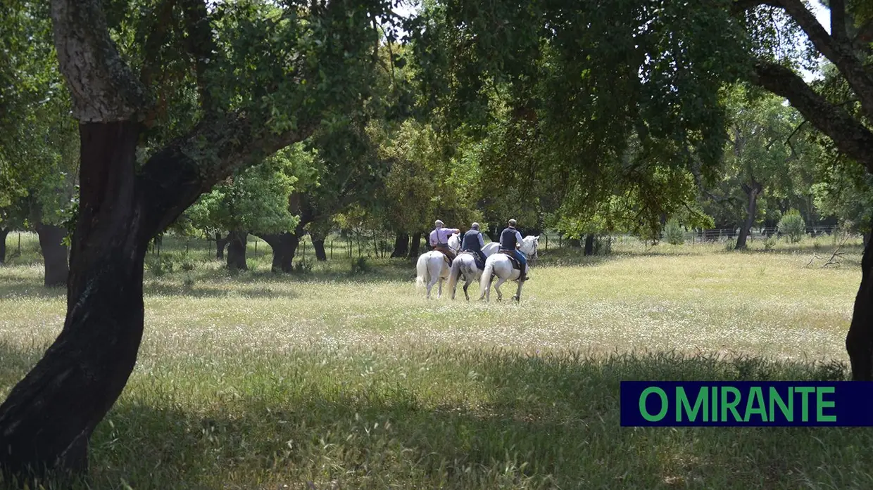 Quinta-feira da Espiga vivida em Samora Correia entre cavalos, campo e tradição