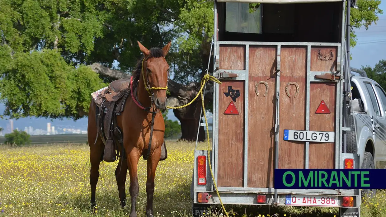 Quinta-feira da Espiga vivida em Samora Correia entre cavalos, campo e tradição