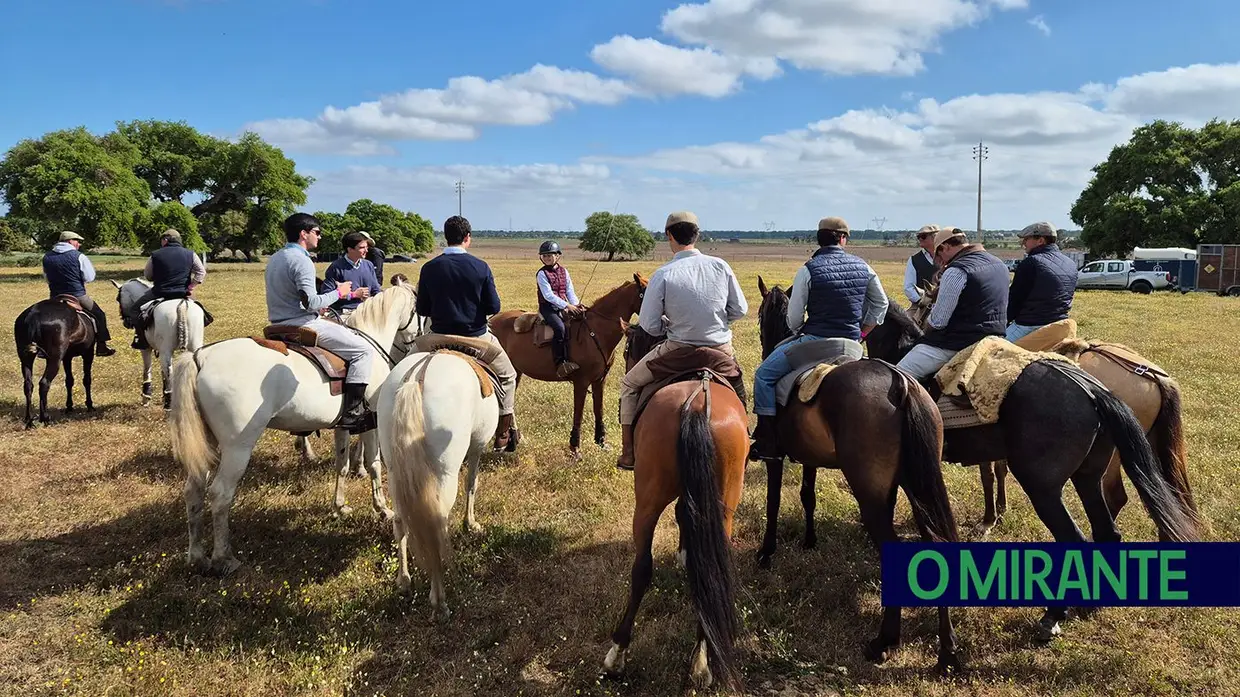 Quinta-feira da Espiga vivida em Samora Correia entre cavalos, campo e tradição