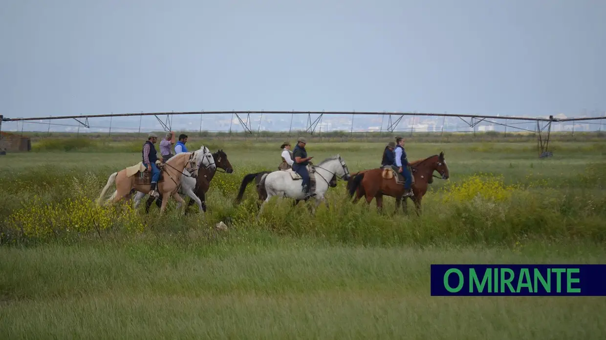 Quinta-feira da Espiga vivida em Samora Correia entre cavalos, campo e tradição