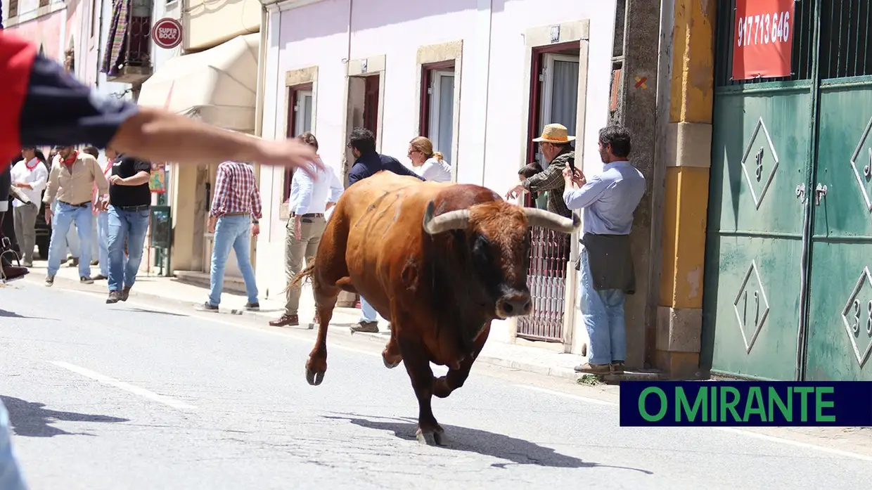 As imagens que ficam da entrada de toiros em Quinta-Feira de Ascensão I