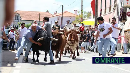 As imagens que ficam da entrada de toiros em Quinta-Feira de Ascensão I