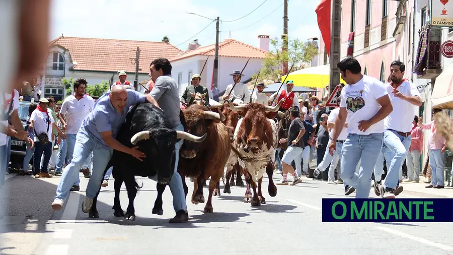 As imagens que ficam da entrada de toiros em Quinta-Feira de Ascensão I