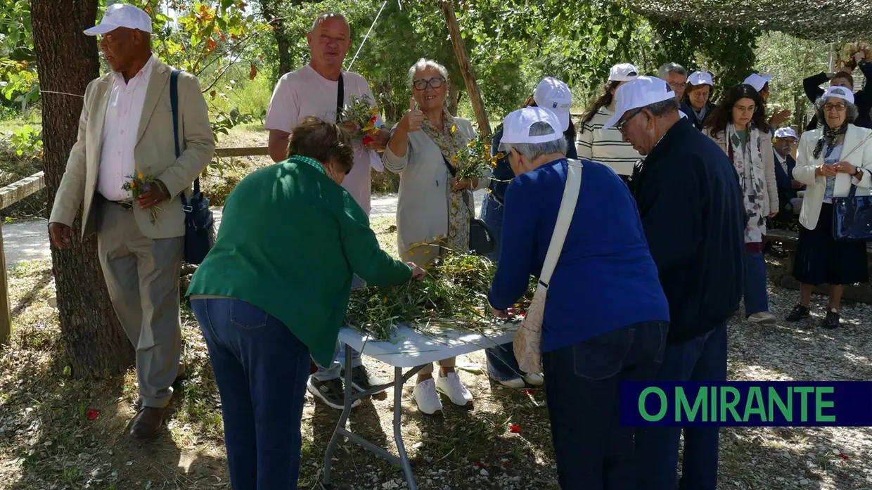 Freguesia de Nossa Senhora de Fátima do Entroncamento organizou Festa da Espiga
