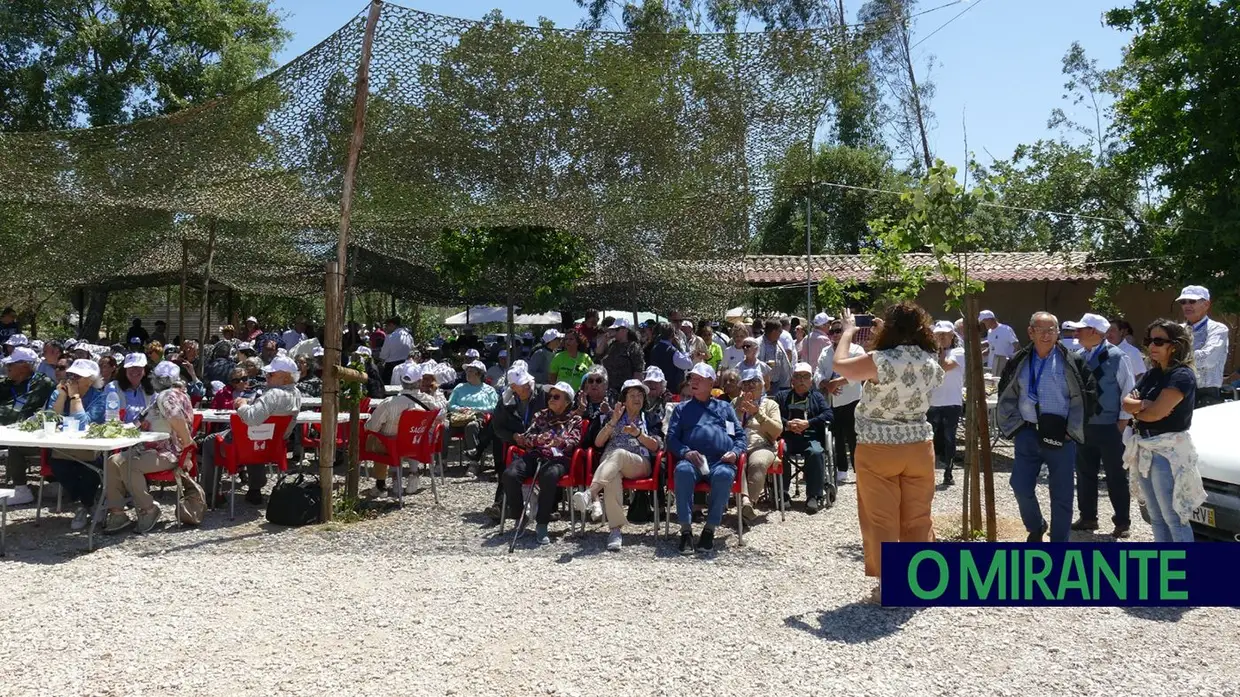 Freguesia de Nossa Senhora de Fátima do Entroncamento organizou Festa da Espiga