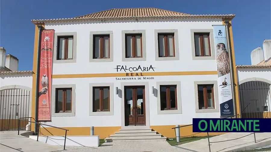Falcoaria Real de Salvaterra ensina jovens a desenhar aves de presa
