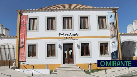 Falcoaria Real de Salvaterra ensina jovens a desenhar aves de presa
