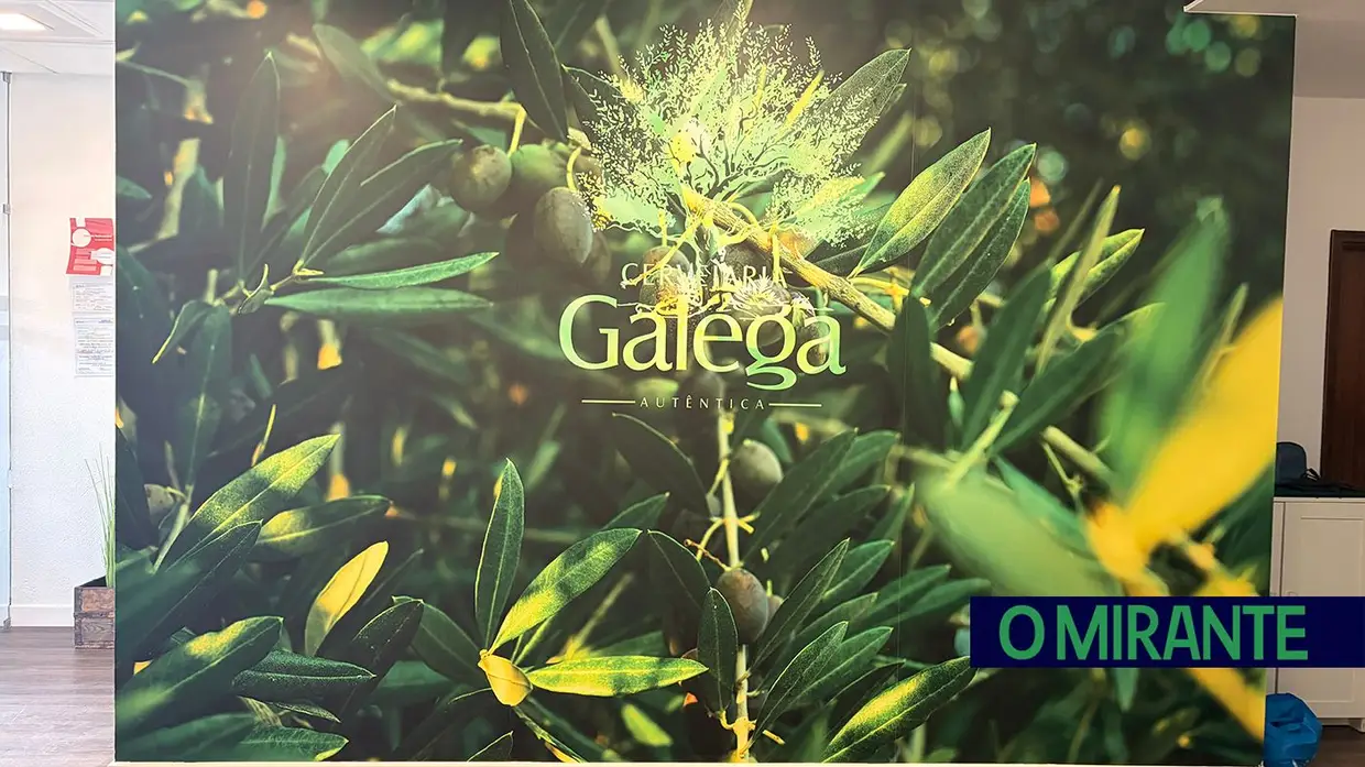 Cervejaria Galega inaugurada em Alferrarede
