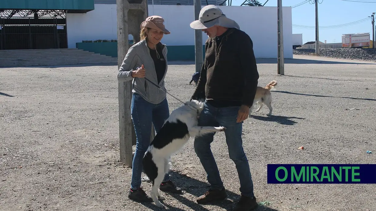 Cãominhada Solidária reúne centenas de cães no Cartaxo