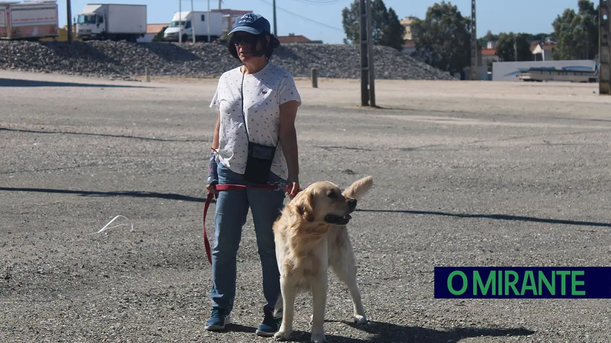 Cãominhada Solidária reúne centenas de cães no Cartaxo