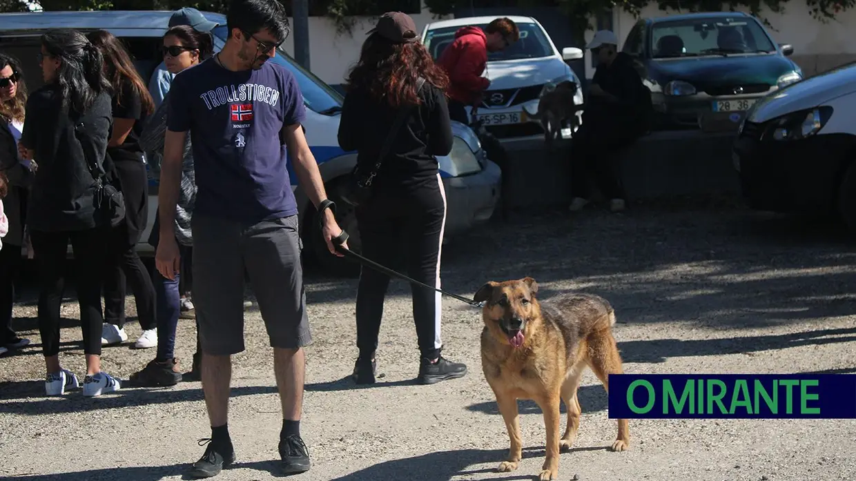 Cãominhada Solidária reúne centenas de cães no Cartaxo