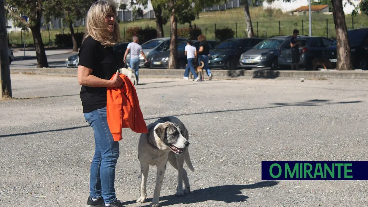 Cãominhada Solidária reúne centenas de cães no Cartaxo