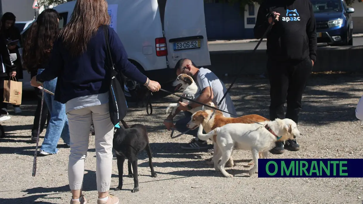 Cãominhada Solidária reúne centenas de cães no Cartaxo