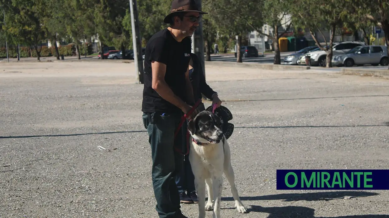 Cãominhada Solidária reúne centenas de cães no Cartaxo