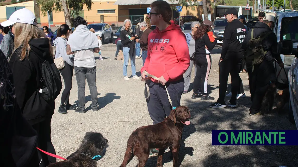 Cãominhada Solidária reúne centenas de cães no Cartaxo