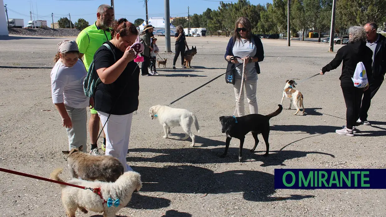 Cãominhada Solidária reúne centenas de cães no Cartaxo