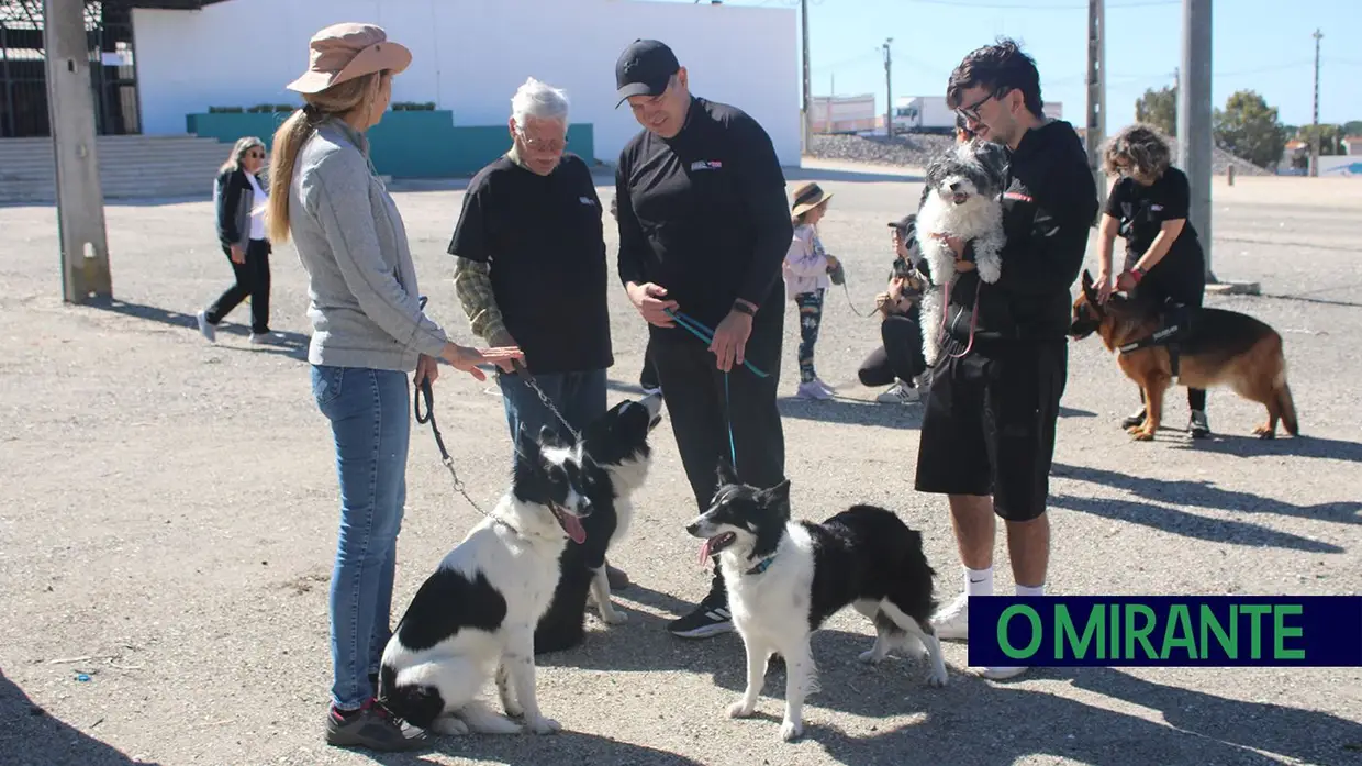 Cãominhada Solidária reúne centenas de cães no Cartaxo