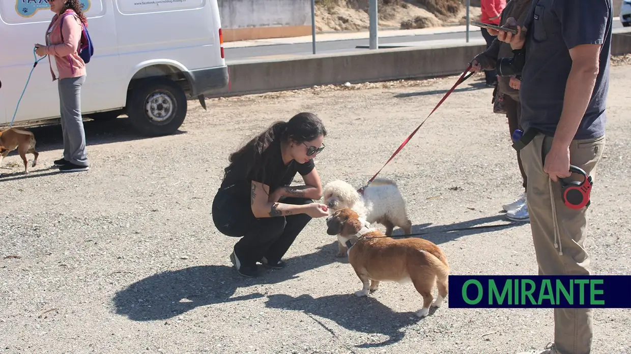 Cãominhada Solidária reúne centenas de cães no Cartaxo