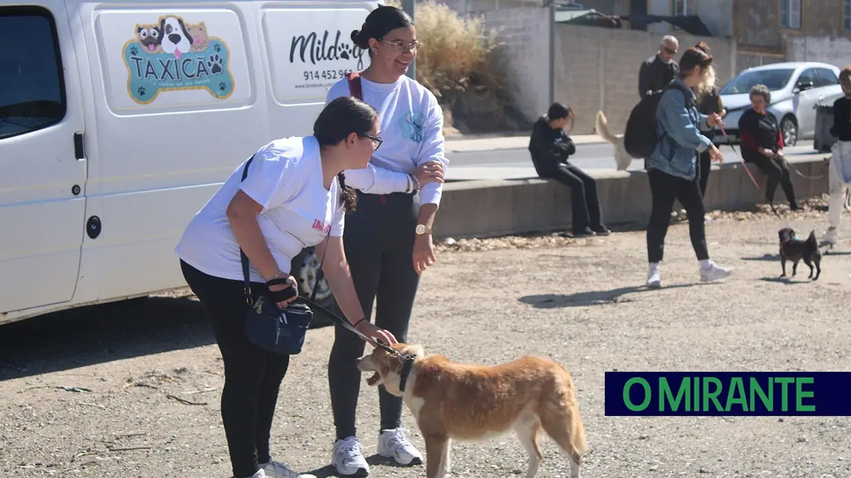 Cãominhada Solidária reúne centenas de cães no Cartaxo
