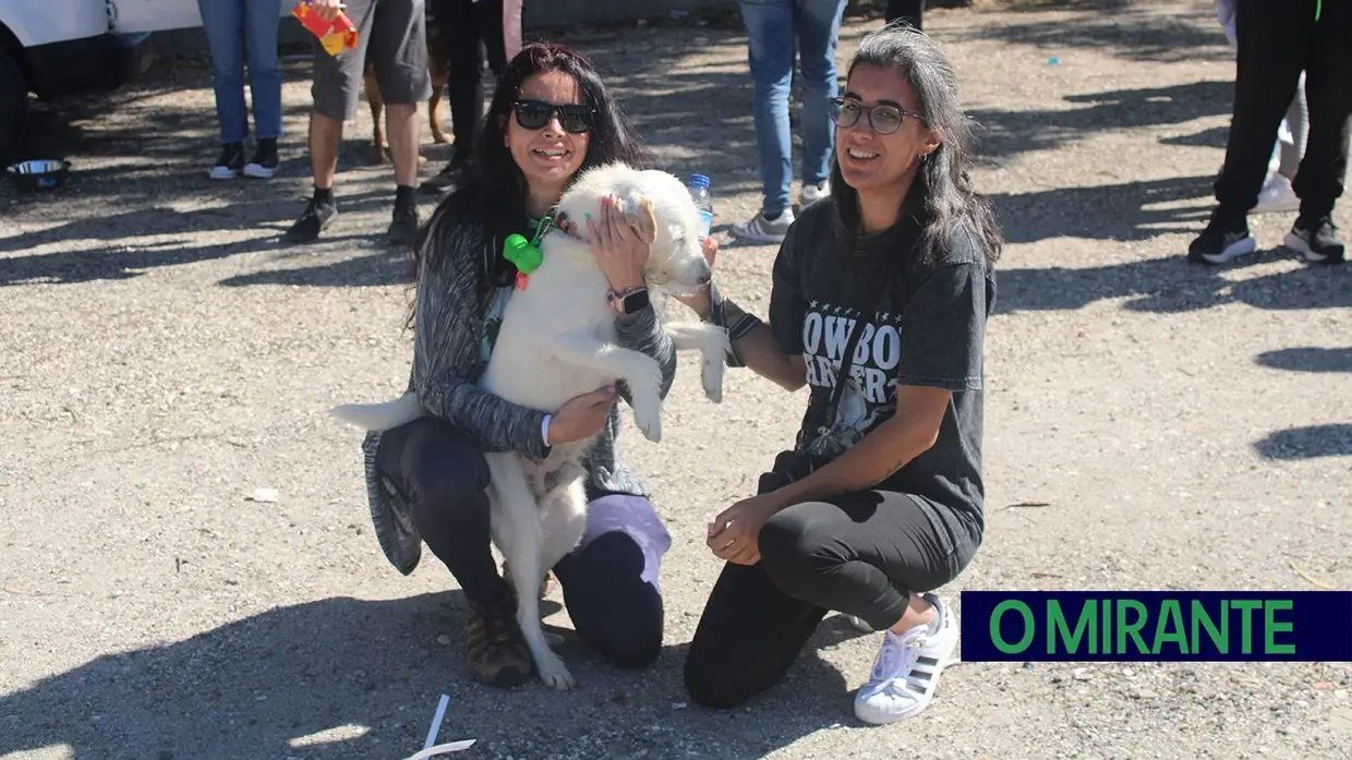 Cãominhada Solidária reúne centenas de cães no Cartaxo