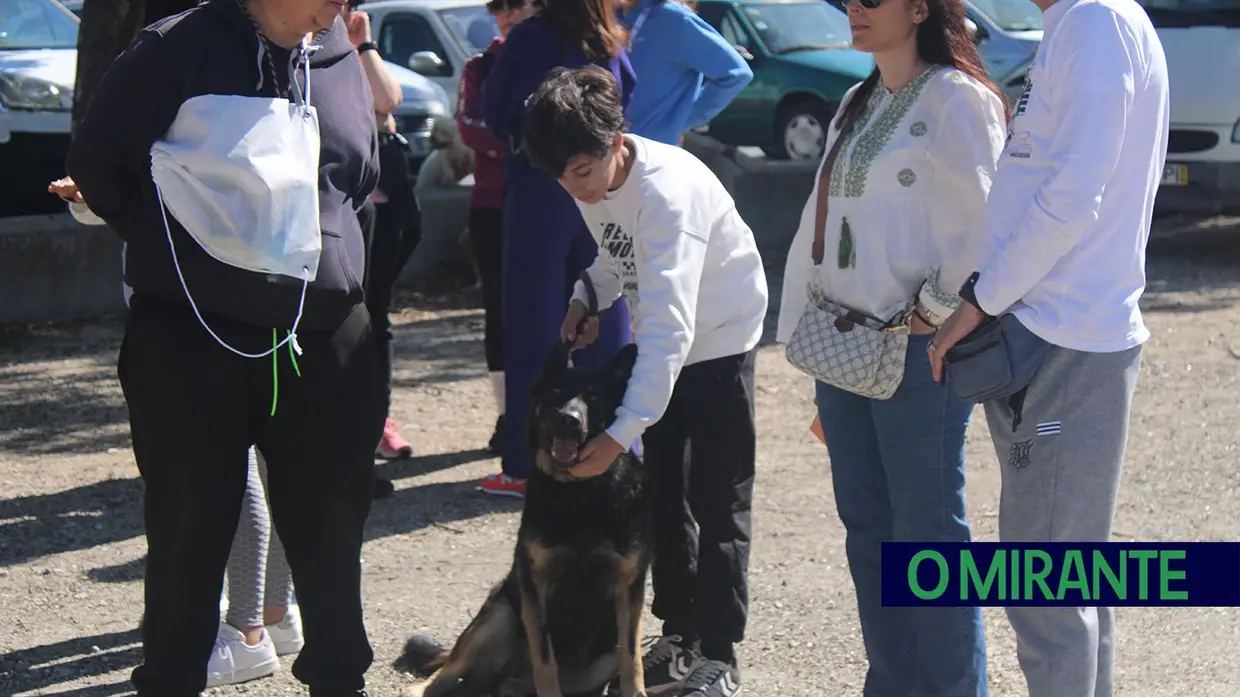 Cãominhada Solidária reúne centenas de cães no Cartaxo