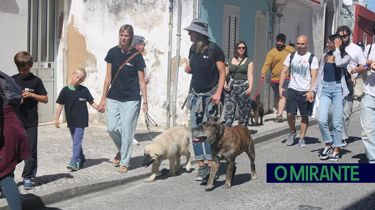 Cãominhada Solidária reúne centenas de cães no Cartaxo