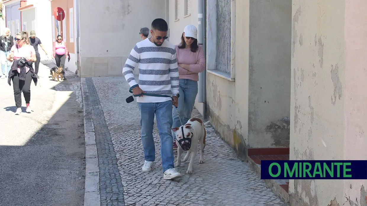 Cãominhada Solidária reúne centenas de cães no Cartaxo