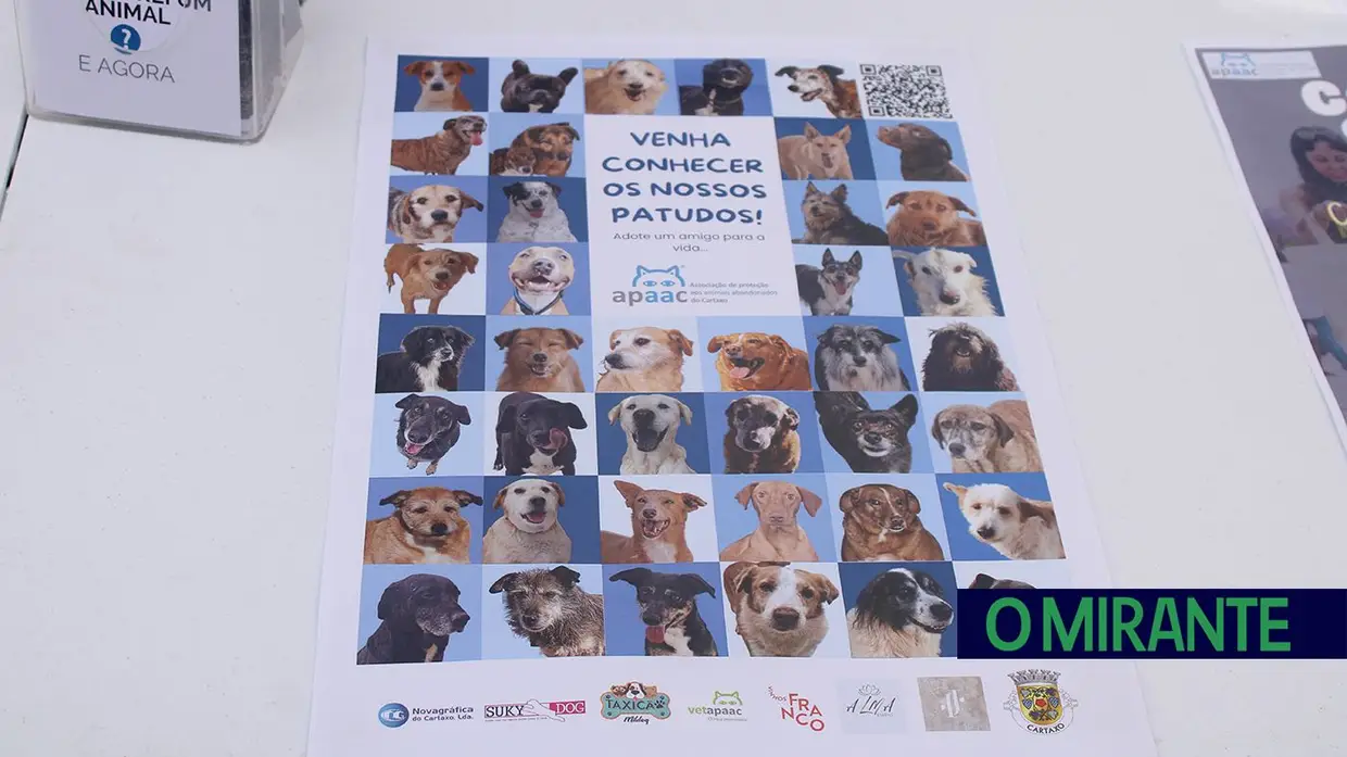 Cãominhada Solidária reúne centenas de cães no Cartaxo