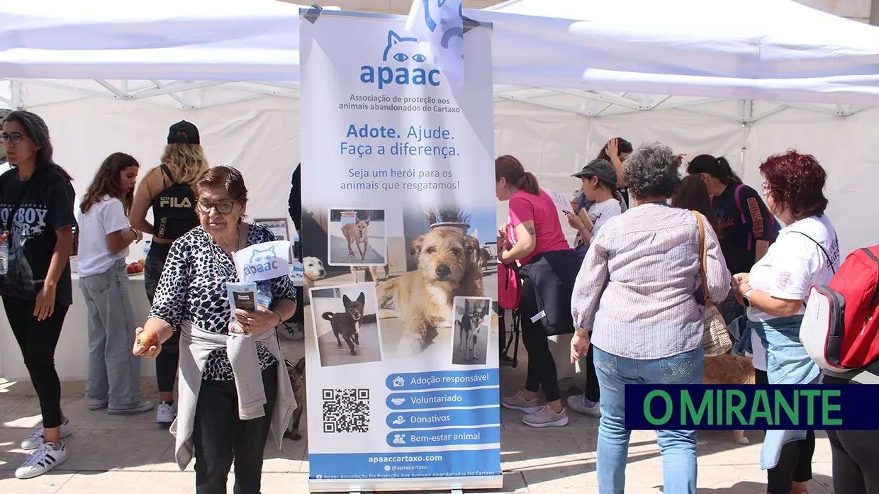 Cãominhada Solidária reúne centenas de cães no Cartaxo