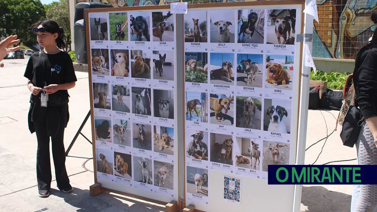 Cãominhada Solidária reúne centenas de cães no Cartaxo