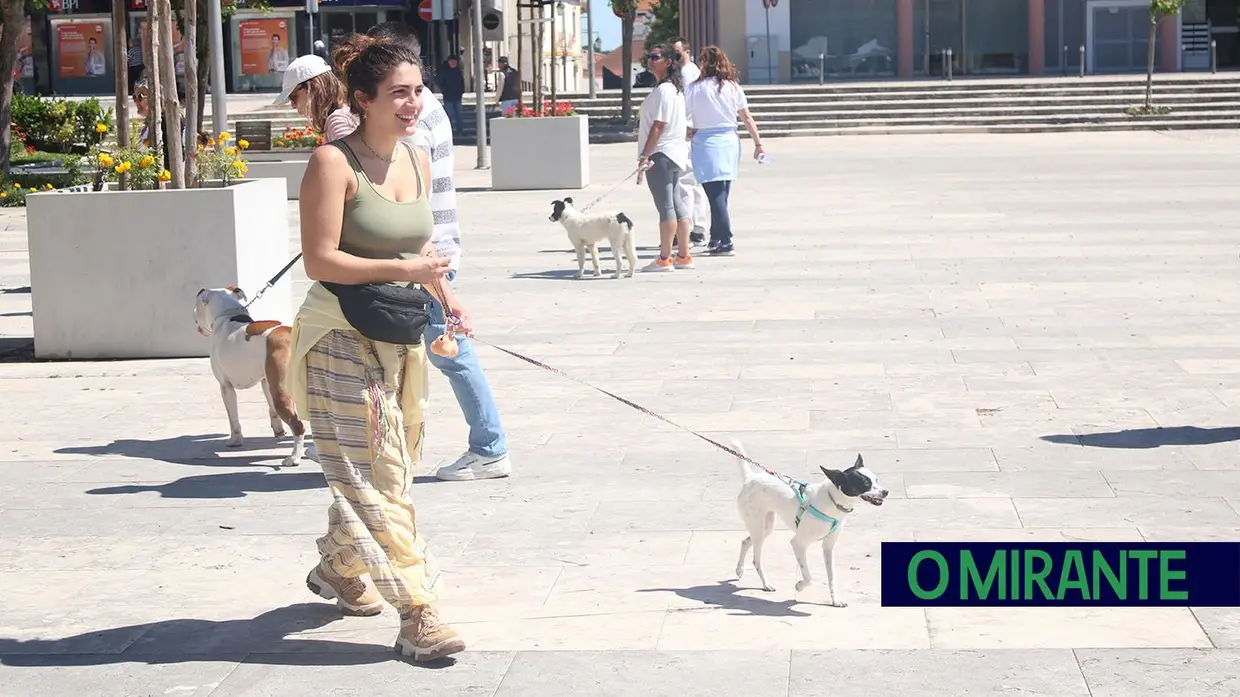Cãominhada Solidária reúne centenas de cães no Cartaxo