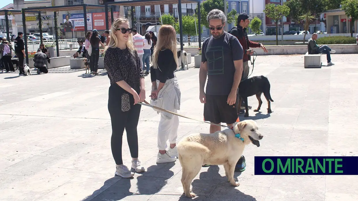Cãominhada Solidária reúne centenas de cães no Cartaxo