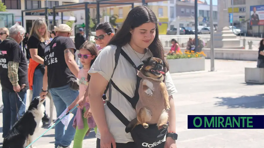 Cãominhada Solidária reúne centenas de cães no Cartaxo