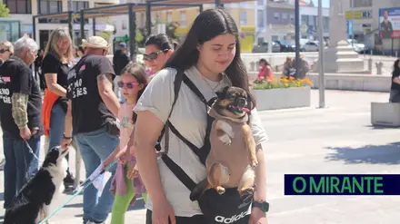 Cãominhada Solidária reúne centenas de cães no Cartaxo